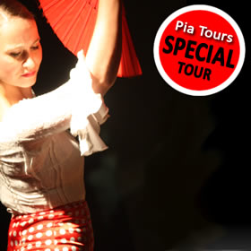 what to do to see in seville flamenco show workshop