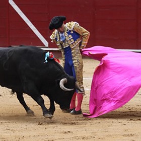 what to do to see in seville highlights bull fighting ring la maestranza