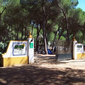 what to do to see in seville stay camping dehesa nueva